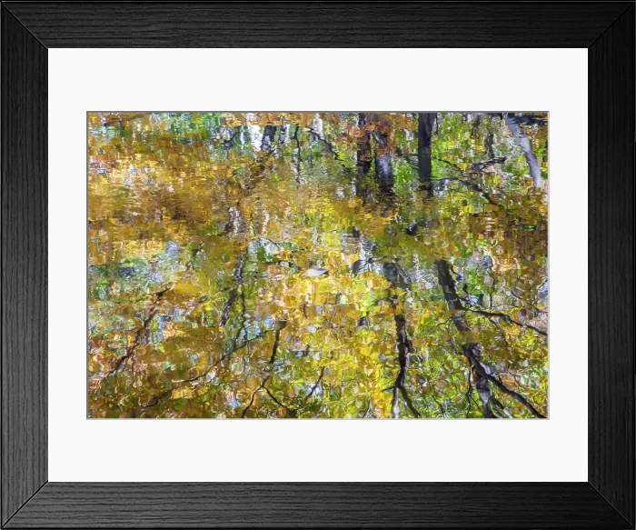 Framed Print : USA, New Hampshire, Gorham Autumn colors reflected in small pond Date: 03-10-2013