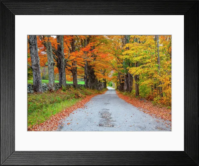Framed Print : USA, New Hampshire, One lane road lined with Maple trees and stone fence in Autumn Date: 04-10-2013 Framed Print : USA, New Hampshire, One lane road lined with Maple trees and stone fence in Autumn Date: 04-10-2013