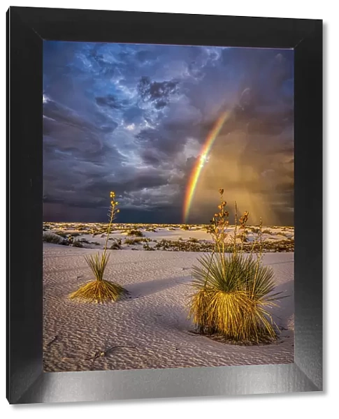 USA, New Mexico, White Sands National Park. Thunderstorm rainbow over desert. Date: 28-09-2021