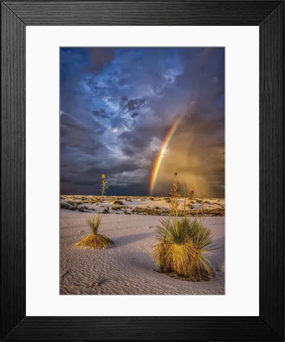 Framed Print : USA, New Mexico, White Sands National Park. Thunderstorm rainbow over desert. Date: 28-09-2021 Framed Print : USA, New Mexico, White Sands National Park. Thunderstorm rainbow over desert. Date: 28-09-2021