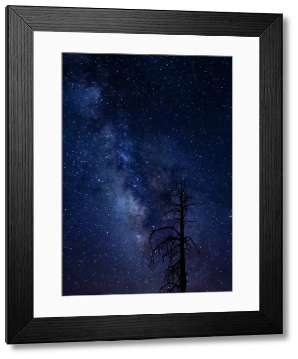 Framed Print : Milky way over the Carson National Forest, Tres Piedras, New Mexico Date: 11-08-2020 Framed Print : Milky way over the Carson National Forest, Tres Piedras, New Mexico Date: 11-08-2020