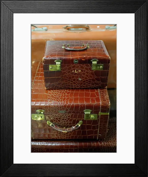 Framed Print : Vintage alligator skin luggage. Date: 29-12-2017