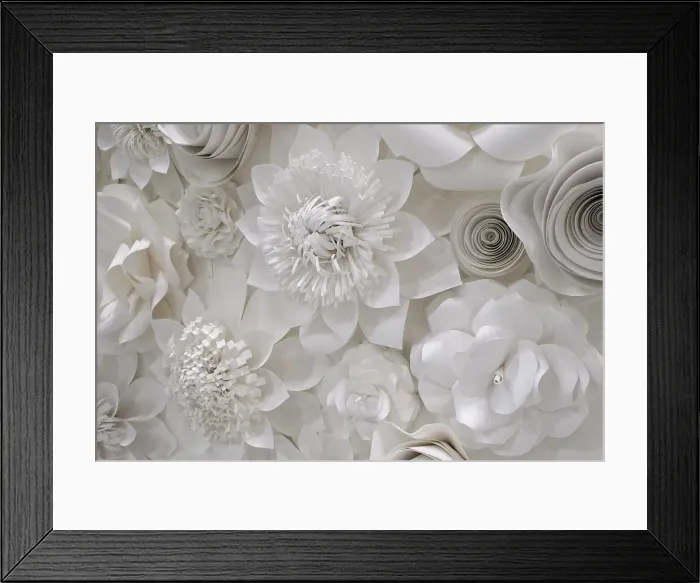 Framed Print : Variety of white flower designs made from cut paper. New York City, New York, USA Date: 14-08-2018 Framed Print : Variety of white flower designs made from cut paper. New York City, New York, USA Date: 14-08-2018