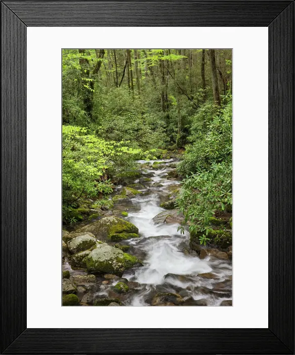 Framed Print : Cascading mountain stream, Great Smoky Mountains National Park, Tennessee, North Carolina Date: 04-05-2021