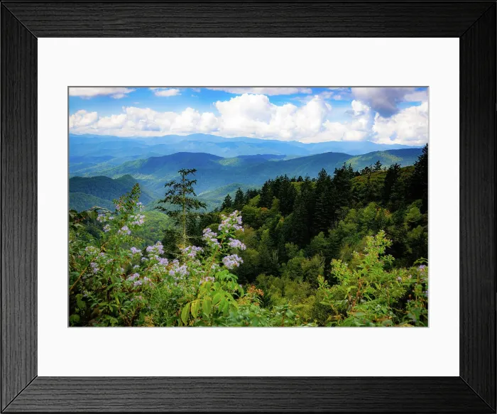 Framed Print : Blue Ridge Parkway vista, Smoky Mountains, USA. Date: 30-09-2018 Framed Print : Blue Ridge Parkway vista, Smoky Mountains, USA. Date: 30-09-2018