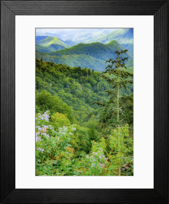 Framed Print : Blue Ridge Parkway vista, Smoky Mountains, USA. Date: 30-09-2018 Framed Print : Blue Ridge Parkway vista, Smoky Mountains, USA. Date: 30-09-2018