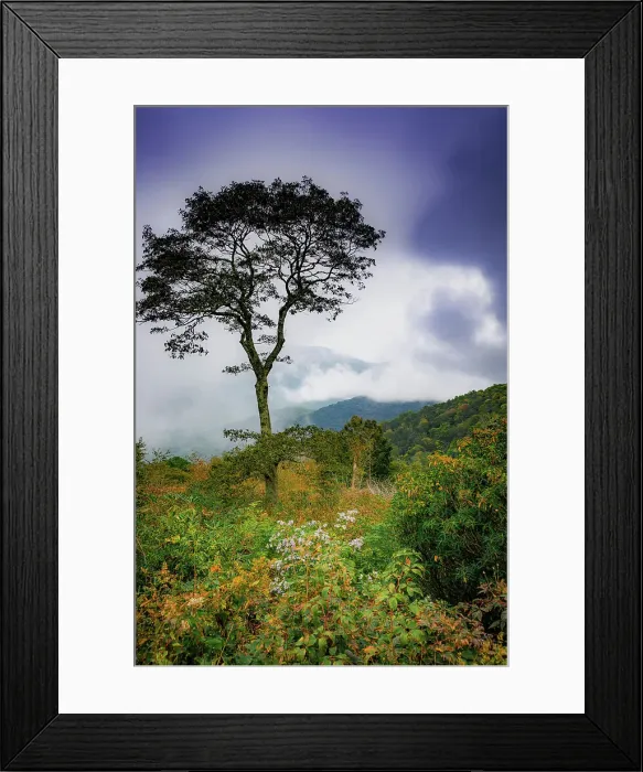 Framed Print : Blue Ridge Parkway, Smoky Mountains, USA. Date: 30-09-2018 Framed Print : Blue Ridge Parkway, Smoky Mountains, USA. Date: 30-09-2018