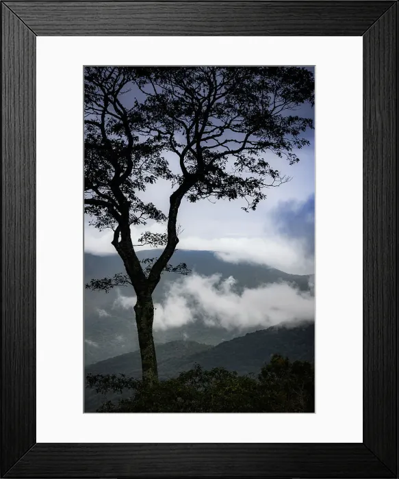 Framed Print : Stylized vista, Blue Ridge Parkway, Smoky Mountains, USA. Date: 30-09-2018