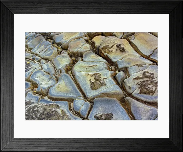 Framed Print : Rock pattern in eroded coastline, Shore Acres State Park, Coos Bay, Oregon Date: 25-12-2006 Framed Print : Rock pattern in eroded coastline, Shore Acres State Park, Coos Bay, Oregon Date: 25-12-2006