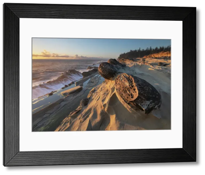 Framed Print : Mineral concretions at Shore Acres State Park, Oregon. Date: 16-06-2020 Framed Print : Mineral concretions at Shore Acres State Park, Oregon. Date: 16-06-2020