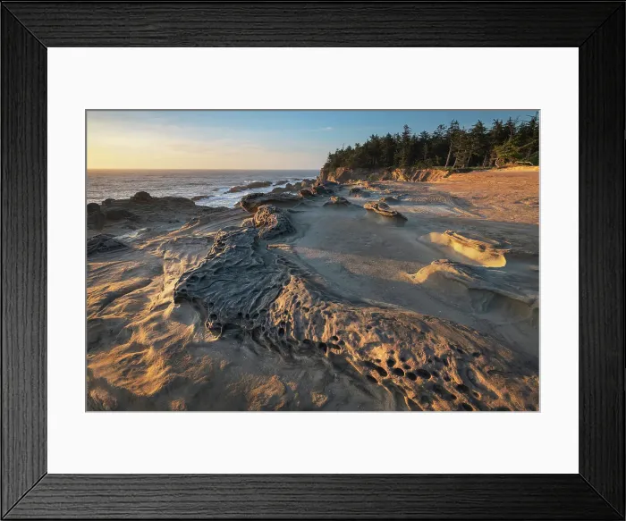 Framed Print : Eroded sandstone concretions and formations at Shore Acres State Park, Oregon. Date: 18-06-2020 Framed Print : Eroded sandstone concretions and formations at Shore Acres State Park, Oregon. Date: 18-06-2020