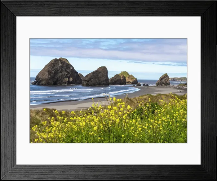 Framed Print : USA, Oregon. Pistol River Beach and sea stacks. Date: 25-05-2021 Framed Print : USA, Oregon. Pistol River Beach and sea stacks. Date: 25-05-2021