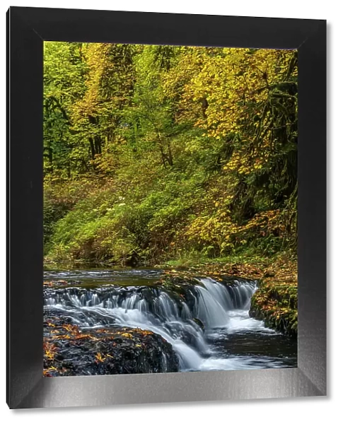 USA, Oregon, Silver Falls State Park. Waterfalls and forest in autumn. Date: 19-10-2021