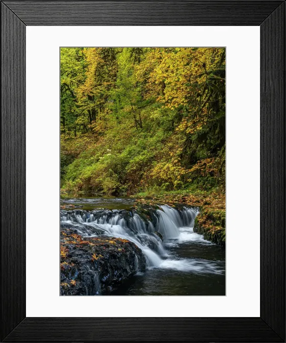 Framed Print : USA, Oregon, Silver Falls State Park. Waterfalls and forest in autumn. Date: 19-10-2021 Framed Print : USA, Oregon, Silver Falls State Park. Waterfalls and forest in autumn. Date: 19-10-2021