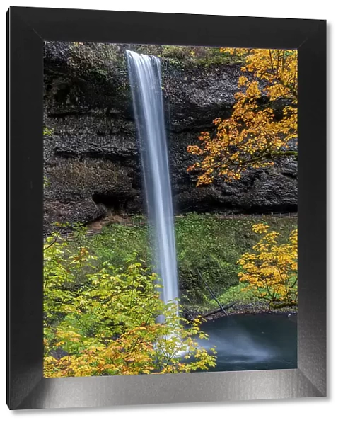 USA, Oregon, Silver Falls State Park. Tall waterfall and forest in autumn. Date: 20-10-2021