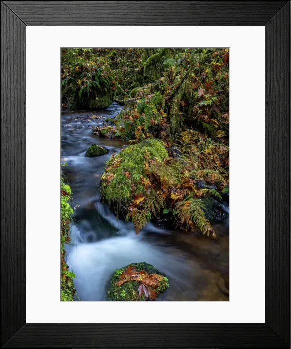Framed Print : Munson Creek Falls State Natural Site in autumn near Tillamook, Oregon, USA Date: 21-10-2021 Framed Print : Munson Creek Falls State Natural Site in autumn near Tillamook, Oregon, USA Date: 21-10-2021