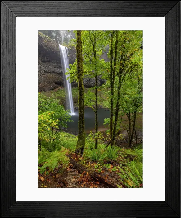 Framed Print : South Falls at Silver Falls State Park near Sublimity, Oregon, USA Date: 05-10-2021