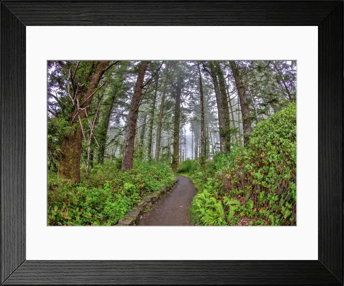 Framed Print : Usa, Oregon, Yachats. Cape Perpetua Date: 03-08-2021
