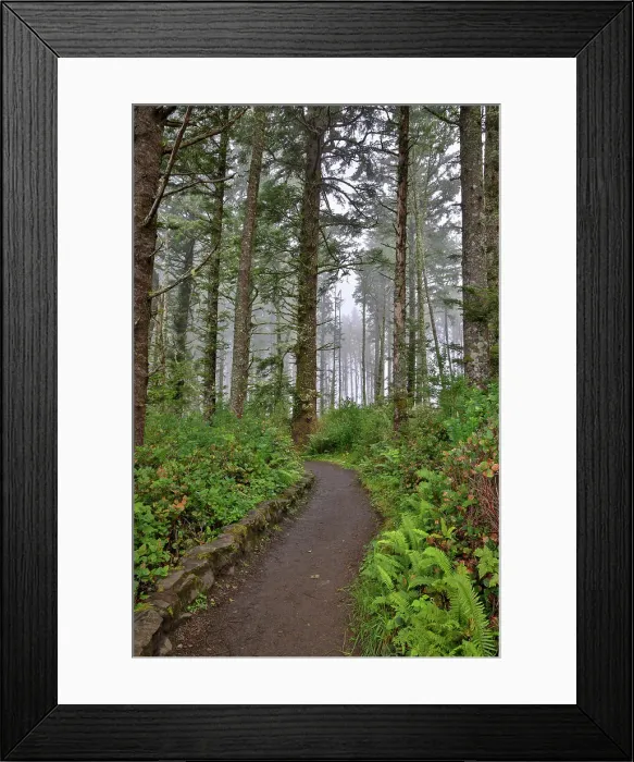Framed Print : Usa, Oregon, Yachats. Cape Perpetua Date: 03-08-2021