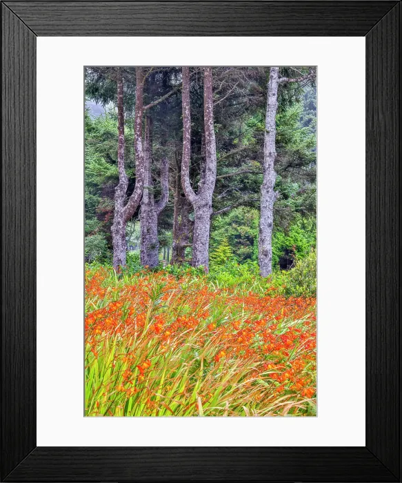 Framed Print : Usa, Oregon, Yachats. Plantings Date: 03-08-2021 Framed Print : Usa, Oregon, Yachats. Plantings Date: 03-08-2021