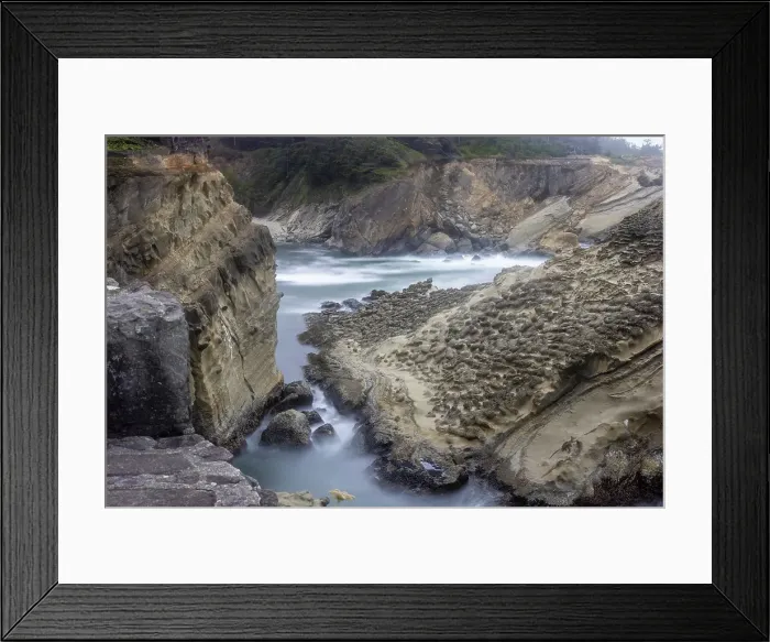 Framed Print : Usa, Oregon, Coos Bay. Shore Acres State Park and the Coast Date: 04-08-2021 Framed Print : Usa, Oregon, Coos Bay. Shore Acres State Park and the Coast Date: 04-08-2021