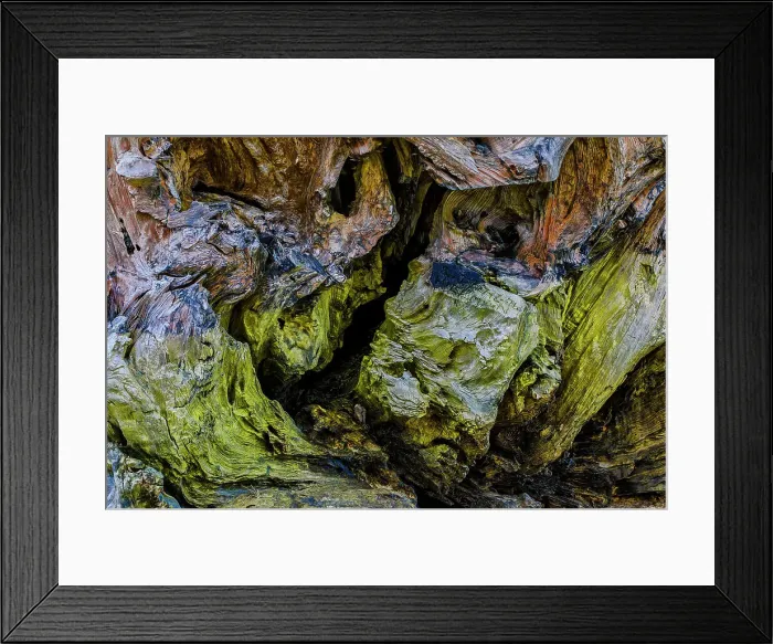 Framed Print : USA, Oregon, Bandon, Beach Date: 03-06-2018 Framed Print : USA, Oregon, Bandon, Beach Date: 03-06-2018