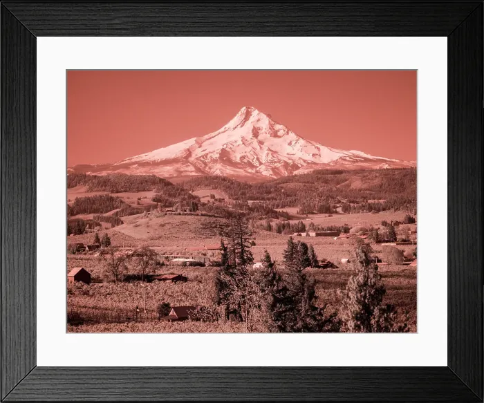 Framed Print : USA, Oregon, Columbia Gorge. Infrared of spring orchards in bloom and Mount Hood Date: 22-04-2021 Framed Print : USA, Oregon, Columbia Gorge. Infrared of spring orchards in bloom and Mount Hood Date: 22-04-2021