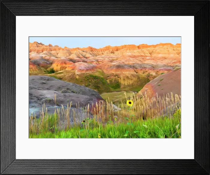 Framed Print : A painterly image of softer hoodoos set against a row of wildflowers and grass. Date: 30-08-2021 Framed Print : A painterly image of softer hoodoos set against a row of wildflowers and grass. Date: 30-08-2021