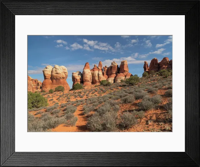 Framed Print : Chesler Park Canyonlands National Park, Utah Date: 07-10-2021 Framed Print : Chesler Park Canyonlands National Park, Utah Date: 07-10-2021