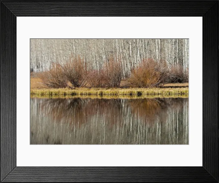 Framed Print : USA, Utah. Aspen and willow reflections on Warner Lake, Manti-La Sal National Forest. Date: 01-11-2020 Framed Print : USA, Utah. Aspen and willow reflections on Warner Lake, Manti-La Sal National Forest. Date: 01-11-2020