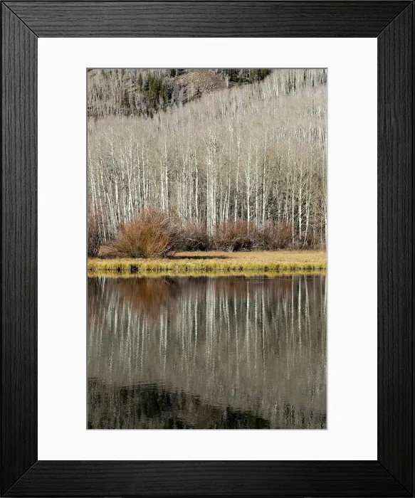 Framed Print : USA, Utah. Reflections on Warner Lake, Manti-La Sal National Forest. Date: 01-11-2020 Framed Print : USA, Utah. Reflections on Warner Lake, Manti-La Sal National Forest. Date: 01-11-2020
