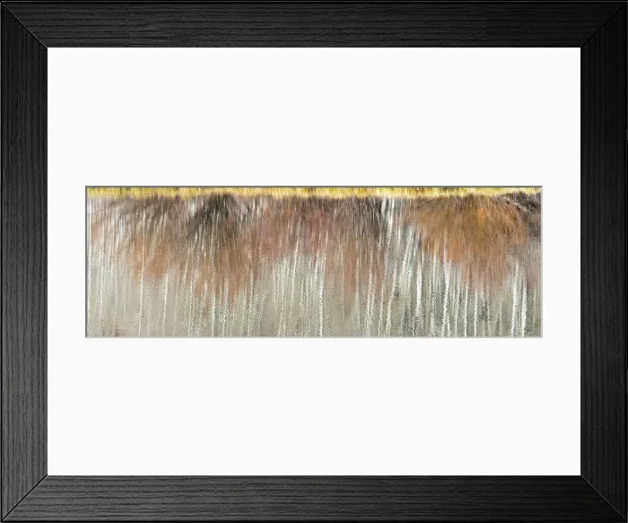 Framed Print : USA, Utah. Aspen and willow reflections on Warner Lake, Manti-La Sal National Forest. Date: 01-11-2020 Framed Print : USA, Utah. Aspen and willow reflections on Warner Lake, Manti-La Sal National Forest. Date: 01-11-2020
