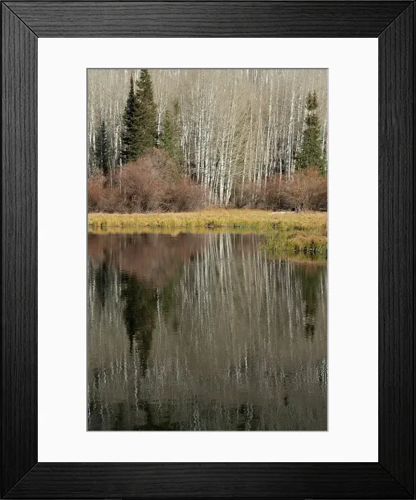 Framed Print : USA, Utah. Reflections on Warner Lake, Manti-La Sal National Forest. Date: 01-11-2020 Framed Print : USA, Utah. Reflections on Warner Lake, Manti-La Sal National Forest. Date: 01-11-2020