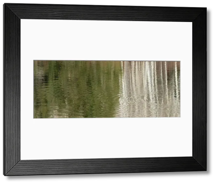 Framed Print : USA, Utah. Reflections on Warner Lake, Manti-La Sal National Forest. Date: 01-11-2020 Framed Print : USA, Utah. Reflections on Warner Lake, Manti-La Sal National Forest. Date: 01-11-2020