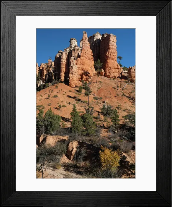 Framed Print : USA, Utah. Pinyon pine and hoodoos, Bryce Canyon National Park. Date: 18-10-2020 Framed Print : USA, Utah. Pinyon pine and hoodoos, Bryce Canyon National Park. Date: 18-10-2020