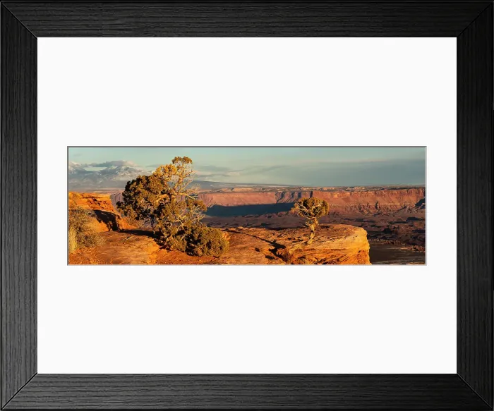 Framed Print : USA, Utah. Panoramic of twisted juniper at an overlook, Dead Horse Point State Park. Date: 23-01-2021 Framed Print : USA, Utah. Panoramic of twisted juniper at an overlook, Dead Horse Point State Park. Date: 23-01-2021