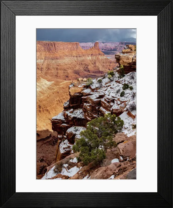 Framed Print : USA, Utah. Twisted juniper in the snow at an overlook, Dead Horse Point State Park. Date: 16-02-2021 Framed Print : USA, Utah. Twisted juniper in the snow at an overlook, Dead Horse Point State Park. Date: 16-02-2021