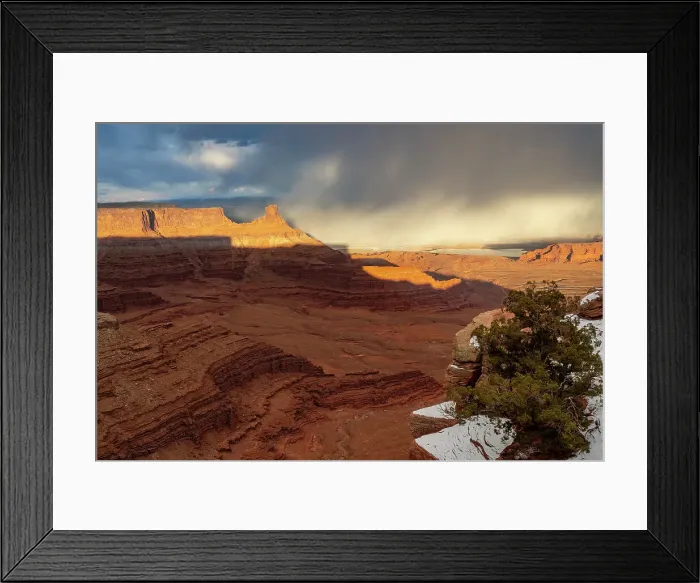 Framed Print : USA, Utah. Twisted juniper at an overlook, Dead Horse Point State Park. Date: 16-02-2021 Framed Print : USA, Utah. Twisted juniper at an overlook, Dead Horse Point State Park. Date: 16-02-2021