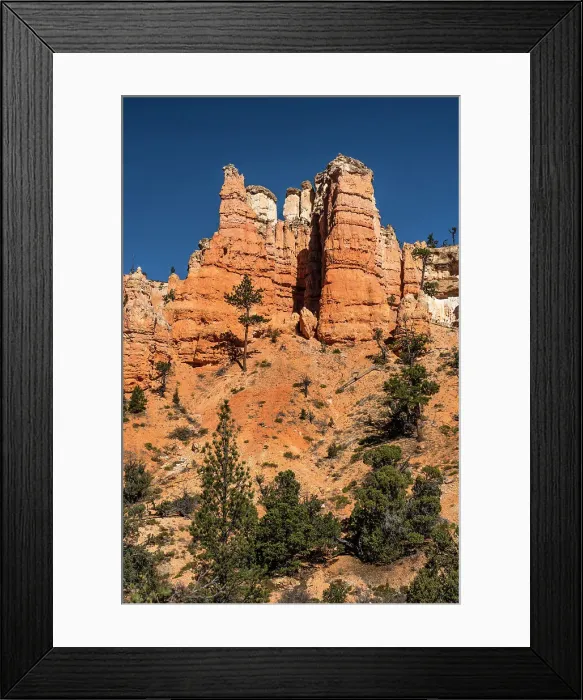Framed Print : USA, Utah. Orange and white hoodoos and pinyon pine, Bryce Canyon National Park. Date: 18-10-2020 Framed Print : USA, Utah. Orange and white hoodoos and pinyon pine, Bryce Canyon National Park. Date: 18-10-2020