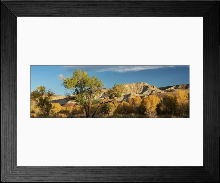 Framed Print : USA, Utah. Bentonite hills and autumn cottonwoods near Capitol Reef National Park. Date: 17-10-2020 Framed Print : USA, Utah. Bentonite hills and autumn cottonwoods near Capitol Reef National Park. Date: 17-10-2020