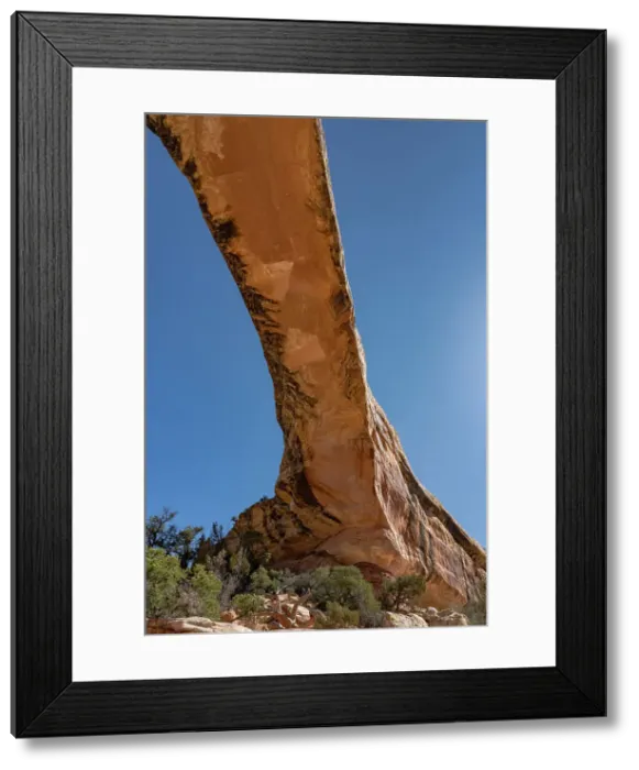 Framed Print : USA, Utah. Owachomo Bridge, Natural Bridges National Monument. Date: 29-03-2021 Framed Print : USA, Utah. Owachomo Bridge, Natural Bridges National Monument. Date: 29-03-2021