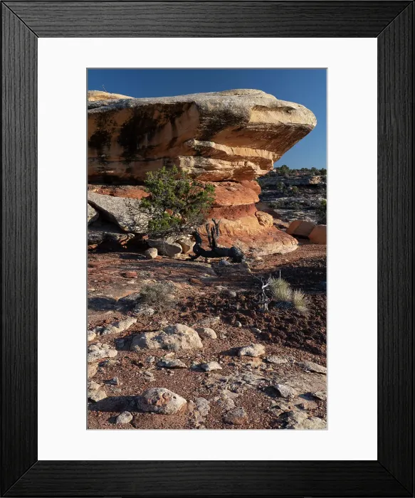 Framed Print : USA, Utah. Geological formations near Caprock Ruin, Cedar Mesa, Bears Ears National Monument. Date: 29-03-2021 Framed Print : USA, Utah. Geological formations near Caprock Ruin, Cedar Mesa, Bears Ears National Monument. Date: 29-03-2021