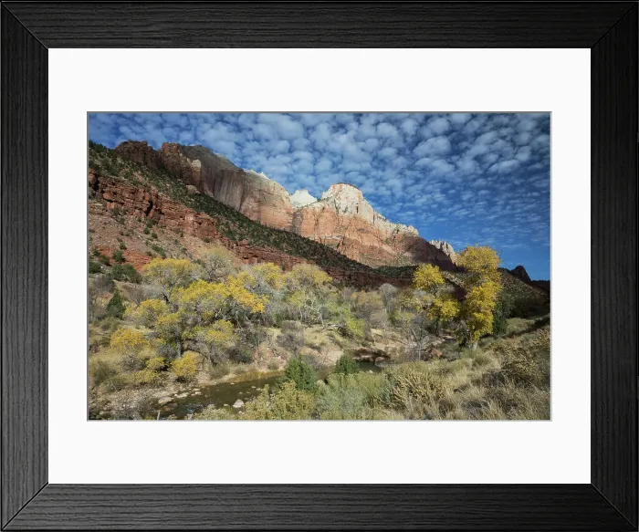 Framed Print : Zion National Park Date: 22-11-2020 Framed Print : Zion National Park Date: 22-11-2020