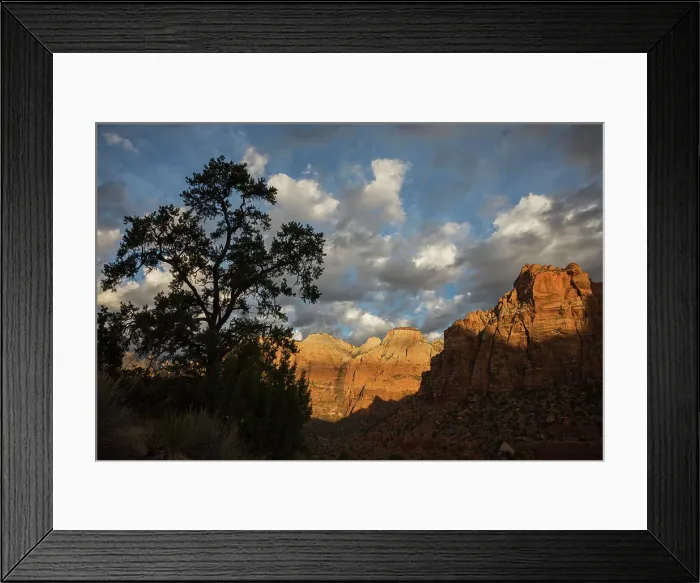 Framed Print : Morning light, Zion National Park Date: 18-11-2020 Framed Print : Morning light, Zion National Park Date: 18-11-2020