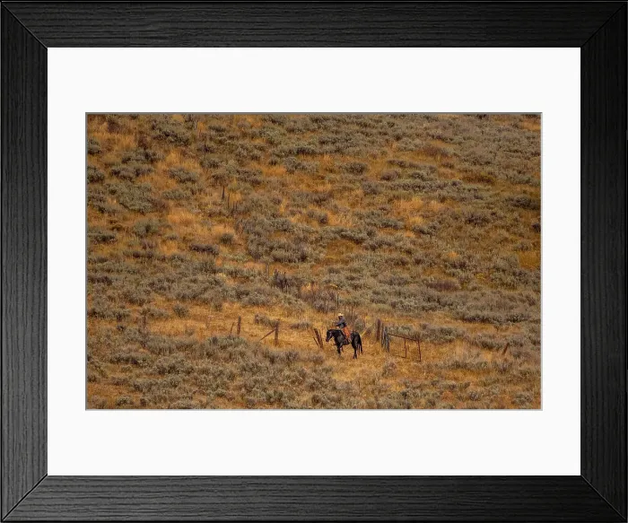 Framed Print : USA, Utah, Logan Highway 89 cowboy on horseback along fence line Date: 26-09-2020 Framed Print : USA, Utah, Logan Highway 89 cowboy on horseback along fence line Date: 26-09-2020