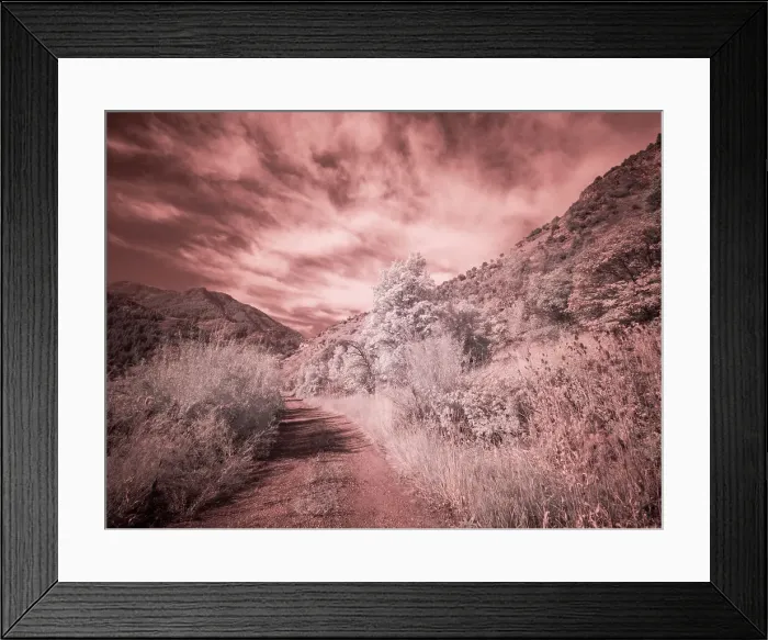 Framed Print : USA, Utah, Infrared of backroad in the Logan Pass area Date: 25-09-2020 Framed Print : USA, Utah, Infrared of backroad in the Logan Pass area Date: 25-09-2020
