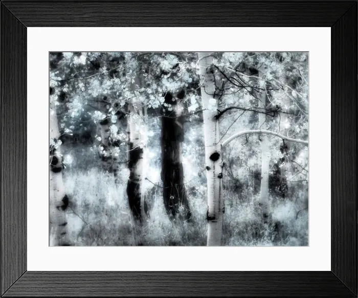 Framed Print : USA, Utah, Aspen Grove in infrared of the Logan Pass area Date: 25-09-2020 Framed Print : USA, Utah, Aspen Grove in infrared of the Logan Pass area Date: 25-09-2020