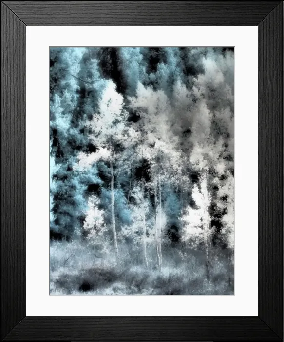 Framed Print : USA, Utah, Aspen Grove in infrared of the Logan Pass area Date: 25-09-2020 Framed Print : USA, Utah, Aspen Grove in infrared of the Logan Pass area Date: 25-09-2020