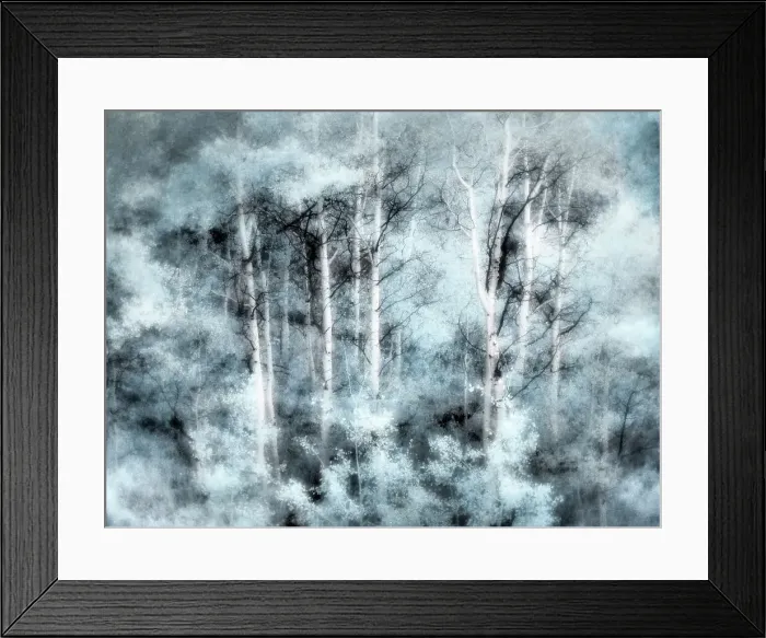 Framed Print : USA, Utah, Aspen Grove in infrared of the Logan Pass area Date: 25-09-2020 Framed Print : USA, Utah, Aspen Grove in infrared of the Logan Pass area Date: 25-09-2020