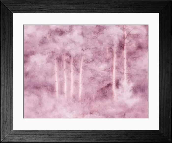 Framed Print : USA, Utah, Aspen Grove in infrared of the Logan Pass area Date: 25-09-2020 Framed Print : USA, Utah, Aspen Grove in infrared of the Logan Pass area Date: 25-09-2020